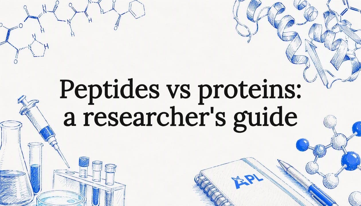 Peptides vs proteins: a researcher's guide